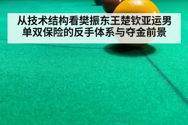 从技术结构看樊振东王楚钦亚运男单双保险的反手体系与夺金前景